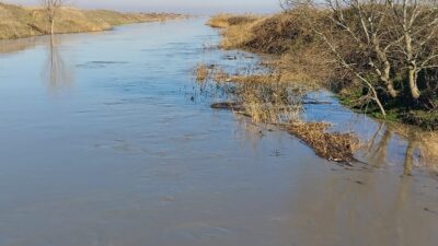 ERGENE NEHRİ TAŞTI, YÜZLERCE DÖNÜMEKİLİ TARIM ARAZİSİ SU ALTINA KALDI