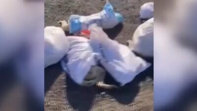 UZUNKÖPRÜ’DE HAYVAN KATLİAMI