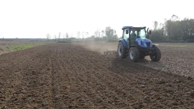 ATA TOHUMLARI TOPRAKLA BULUŞTU