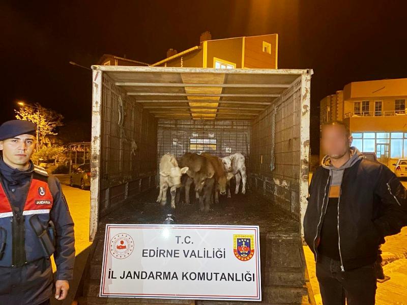 Edirne İl Jandarma Komutanlığı,