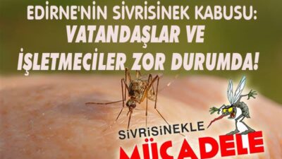 EDİRNE’NİN SİVRİSİNEK KABUSU: VATANDAŞLAR VE İŞLETMECİLER ZOR DURUMDA! Her yaz olduğu gibi bu