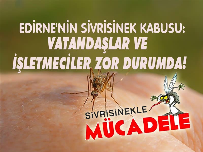 Her yaz olduğu gibi