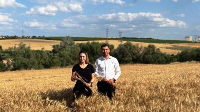 Mecidiye Köyü’nde Çıkan Yangın: 150 Dönüm Tarım Arazisi ve Ormanlık Alan Küle Döndü