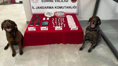 Edirne Jandarmasından Uyuşturucu Operasyonunda Büyük Başarı:1,225 Gram Metamfetamin Ele Geçirildi