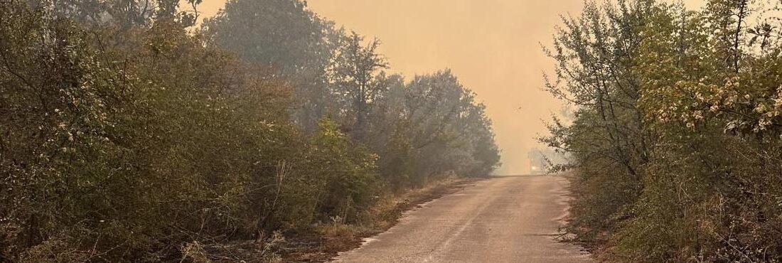 Komşu ülke Bulgaristan’da çıkan