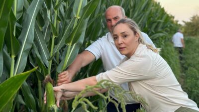 CHP Edirne İl Başkanı Taybıllı: “Çiftçimiz Adaletsiz Politikalar Yüzünden Zararına Üretim Yapıyor”