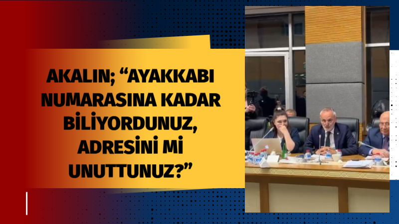 İYİ Parti Edirne Milletvekili Prof. Dr. Mehmet Akalın, teröristlerin aflarına